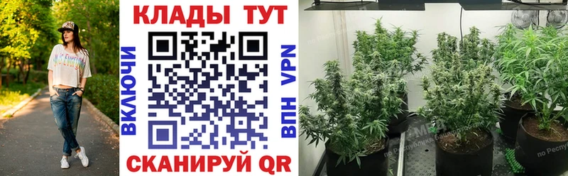 Где купить наркоту Камешково ГАШИШ Марихуана СК Мефедрон COCAIN