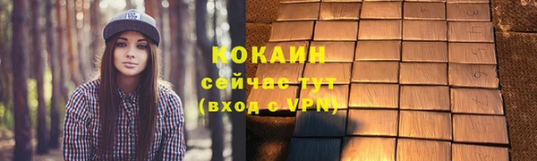 амф Семилуки
