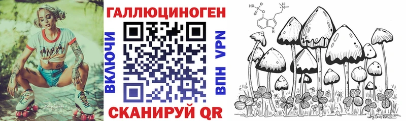 где можно купить   Камешково  omg онион  Галлюциногенные грибы MAGIC MUSHROOMS 